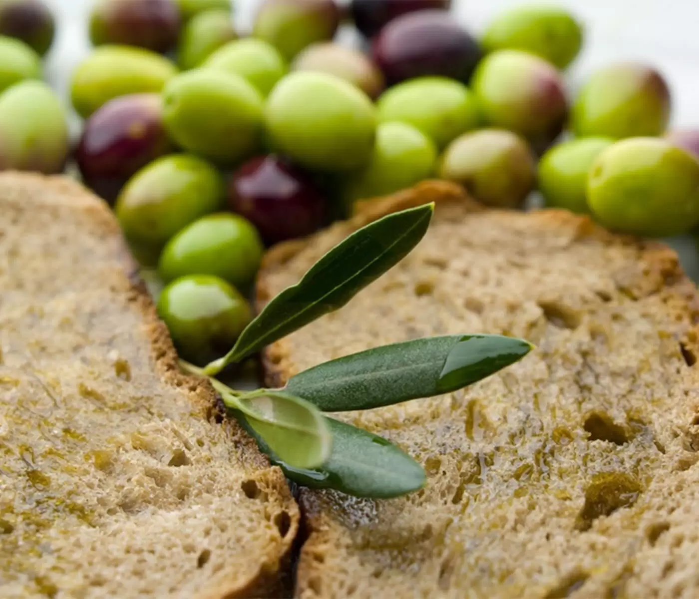 Desert Miracle - suggerimenti culinari